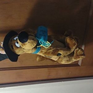 Scooby-Doo cartoon Network Halloween plush stuffed animal witch costume decor